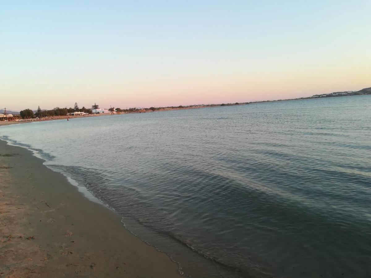 Studios Thiseas Naxos City Экстерьер фото